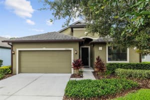 19725 POST ISLAND LOOP, LAND O LAKES, FL 34638 Sold 09/24/24