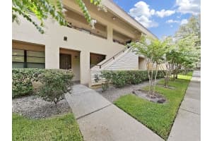 4971 PURITAN CIRCLE, TAMPA, FL 33617 Sold 01/18/25