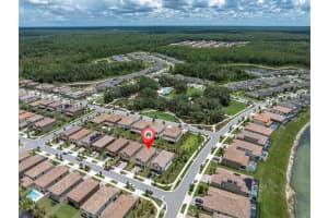 3926 MAURICE AVENUE, ODESSA, FL 33556 Sold 09/27/24