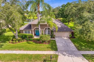 8410 RIDGEBROOK CIRCLE, ODESSA, FL 33556 Sold 08/05/24