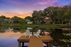 8410 RIDGEBROOK CIRCLE, ODESSA, FL 33556 Sold 08/05/24