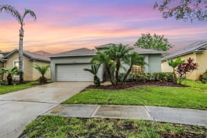 19139 WOOD SAGE DRIVE, TAMPA, FL 33647 Sold 08/07/24