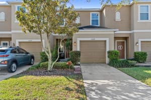 6644 HOLLY HEATH DRIVE, RIVERVIEW, FL 33578 Sold 09/12/24