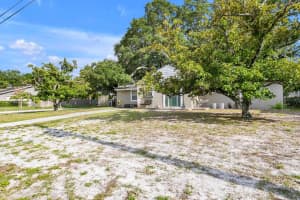 4302 JETTON AVENUE, TAMPA, FL 33629 Sold 11/21/24