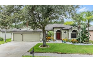 15140 PRINCEWOOD LANE, LAND O LAKES, FL 34638 Sold 09/13/24