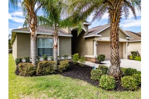 12341 BALLENTRAE FOREST DRIVE, RIVERVIEW, FL 33579 Sold 10/04/24