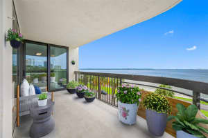 2413 BAYSHORE BOULEVARD, TAMPA, FL 33629 Sold 12/27/24