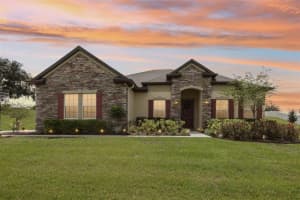 10513 CRESTVIEW HEIGHTS AVENUE, THONOTOSASSA, FL 33592 Sold 08/19/24