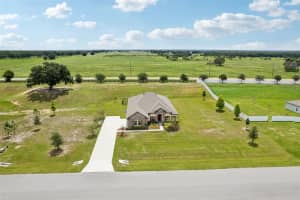 10513 CRESTVIEW HEIGHTS AVENUE, THONOTOSASSA, FL 33592 Sold 08/19/24