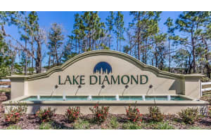 146 HICKORY COURSE TRAIL, OCALA, FL 34472 Sold 03/31/25