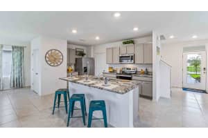 31338 PENNY SURF LOOP, WESLEY CHAPEL, FL 33545 Sold 11/04/24