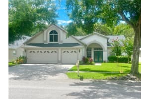 10217 TIMBERLAND POINT DRIVE, TAMPA, FL 33647 Sold 08/16/24