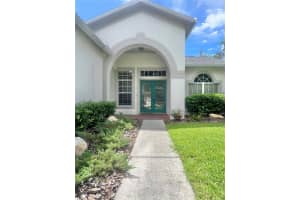 10217 TIMBERLAND POINT DRIVE, TAMPA, FL 33647 Sold 08/16/24