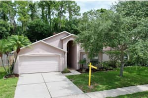 8650 MANASSAS ROAD, TAMPA, FL 33635 Sold 07/30/24