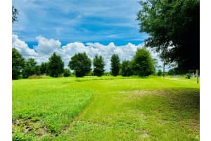 FAIRVIEW HEIGHTS RD, ZEPHYRHILLS, FL 33541 - MLS#MFRT3538084