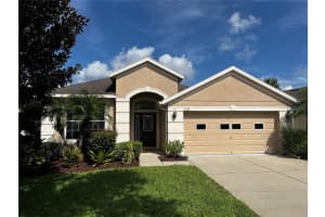 11123 FOSTER CARRIAGE ROAD, LITHIA, FL 33547 Sold 12/16/24