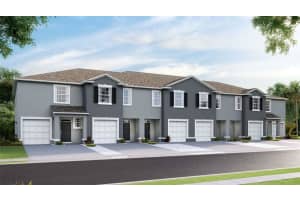 33031 REGENT CANAL STREET, WESLEY CHAPEL, FL 33545 Sold 10/29/24
