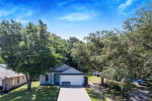 1050 SHEELER HILLS DRIVE, APOPKA, FL 32703 Sold 09/03/24