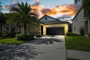 14019 TROPICAL KINGBIRD WAY, RIVERVIEW, FL 33579 Sold 10/25/24