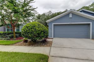 10810 ASHFORD OAKS DRIVE, TAMPA, FL 33625 Sold 08/31/24