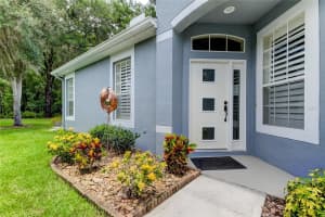 10810 ASHFORD OAKS DRIVE, TAMPA, FL 33625 Sold 08/31/24