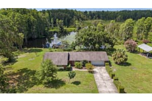 2908 WOODS END COURT, TAMPA, FL 33618 Sold 03/17/25