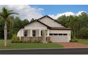 19432 BRISTOL WOOD PLACE, BROOKSVILLE, FL 34601 Sold 12/06/24