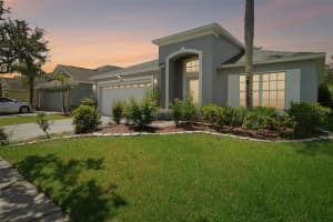 13524 FLADGATE MARK DRIVE, RIVERVIEW, FL 33579 Sold 12/20/24