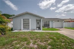 9213 SHELLGROVE COURT, TAMPA, FL 33615 Sold 10/04/24