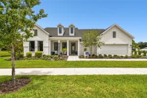 6028 NIKKI LANE, ODESSA, FL 33556 Sold 12/13/24