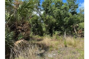 1099 CAZENOVIA STREET, PORT CHARLOTTE, FL 33952 Sold 05/16/25