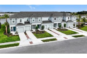 34243 POLACCA LANE, WESLEY CHAPEL, FL 33543 Sold 09/17/24