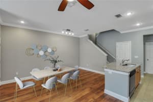 14147 CITRUS CREST CIRCLE, TAMPA, FL 33625 Sold 09/20/24