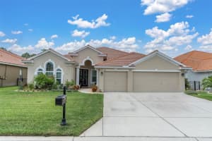 11412 BIDDEFORD PLACE, NEW PORT RICHEY, FL 34654 Sold 08/02/24