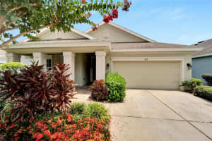 6519 NESTALL COURT, APOLLO BEACH, FL 33572 Sold 11/20/24