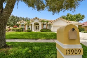 17909 ARBOR GREENE DRIVE, TAMPA, FL 33647 Sold 01/17/25