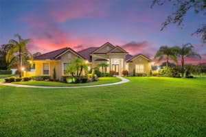 16610 SOUNDING SHORES DRIVE, ODESSA, FL 33556 Sold 09/19/24