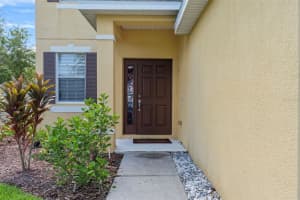 20175 BAY CEDAR AVENUE, TAMPA, FL 33647 Sold 10/25/24