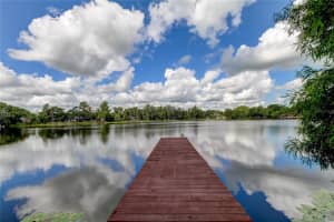 17210 ORANGEWOOD DRIVE, LUTZ, FL 33548 - MLS#MFRT3539372