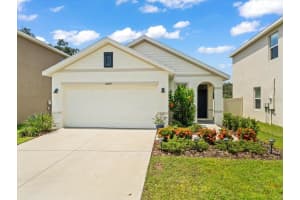 10839 TRAILING VINE DRIVE, TAMPA, FL 33610 Sold 08/16/24