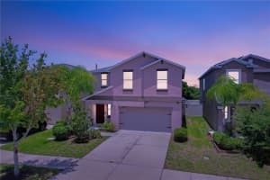 16951 PEACEFUL VALLEY DRIVE, WIMAUMA, FL 33598 Sold 02/05/25