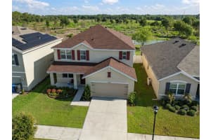 10009 GEESE TRAIL CIRCLE, SUN CITY CENTER, FL 33573 Sold 11/20/24