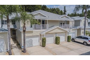 1817 HAMMOCKS AVENUE, LUTZ, FL 33549 - MLS#MFRT3539628