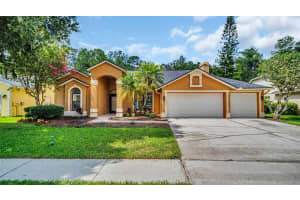 19607 WYNDHAM LAKES DRIVE, ODESSA, FL 33556 Sold 08/09/24