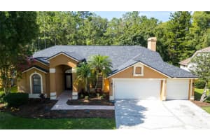 19607 WYNDHAM LAKES DRIVE, ODESSA, FL 33556 Sold 08/09/24
