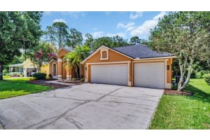 19607 WYNDHAM LAKES DRIVE, ODESSA, FL 33556 Sold 08/09/24