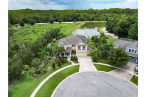 19300 Lonesome Pine Dr, LAND O LAKES