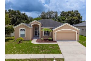 4109 AMBER RIDGE LANE, VALRICO, FL 33594 Sold 08/22/24