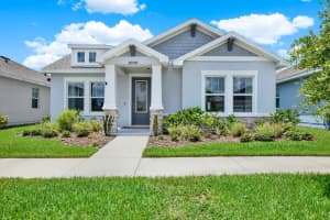28590 SWEET PERSIMMON DRIVE, WESLEY CHAPEL, FL 33543 Sold 01/17/25