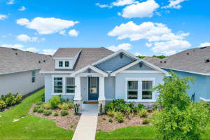 28590 SWEET PERSIMMON DRIVE, WESLEY CHAPEL, FL 33543 Sold 01/17/25